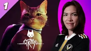 Découverte de STRAY - PARTIE 1 #LETSPLAY