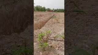 # my feel update in my Village make the farmer first #America