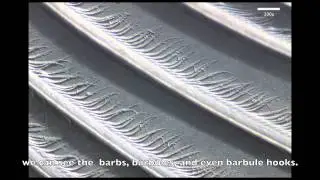 Sensing Surfaces with GelSight (with subtitles)