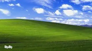 PECK NECK