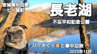 パグ犬ぐぅ🐶と車中泊旅 🚗 2025年11月 宮城県刈田郡七ヶ宿町「長老湖」