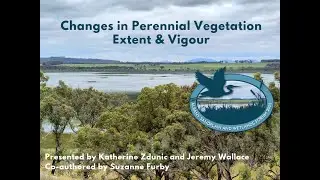 Changes in Perennial Vegetation Extent & Vigour