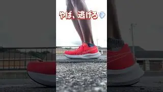 アシックス！エボライドスピードがやってきた！ #マラソン #ランニング #ランニングシューズ #asics #エボライドスピード3