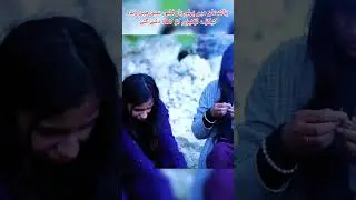 Challenge Scene 4 Film Industry #JungleseasonBts #FajarMalik #Kainatshah #livecrabs