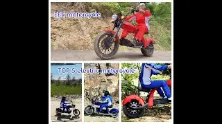 TOP5 EEC  citycoco chopper electric scooter  2025
