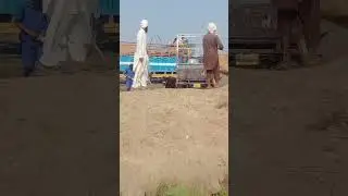 #Cow #farming #farmer #funny #mandi #luddanmandi #vlog @naatshariftv