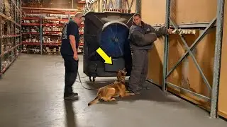Hero Police Dog Saves Fresno Officer's Life Despite Being Stabbed 6 Times