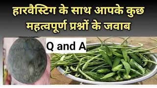 Gardening Related Basic Question n Answer with Harvesting
