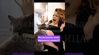 #кот #реальнаяистория #животные #shorts #чудо