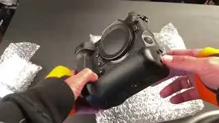 Обзор беззеркальной камеры Nikon Z9. Идеальная, если не считать аксессуаров в комплекте.