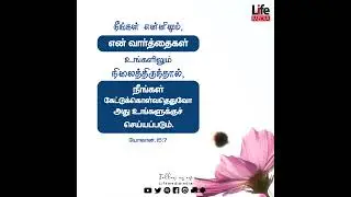 Daily Words of God - Tamil | Christian Whatsapp Status HD | 21.06.2020 | #makeHIMfamous #motivation