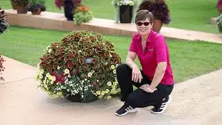 Mixed Container Solutions - Ball Seed Customer Days 2022