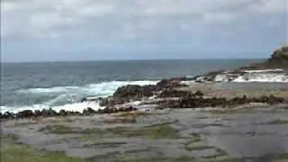 Front landing on Rangatira Island