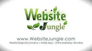 Online Marketing Video 3: Pros and Cons of Website Platforms