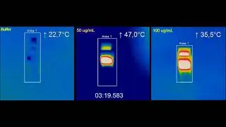 rGO-Fe3O4 Nanocomposite in Photothermal Therapy &ndash; Supplementary video S1 [ID 256760]