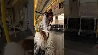 Train interactions with my Dog!! #youtubeshorts #shorts #dog #travel #train #husky #youtube #fyp