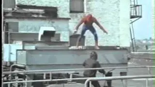 Spider-man  the deadly dust