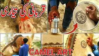 Camel Art | Qurbani Ka Janwar | Wow Amaizing | Camel Decoration | Camel Design |