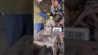 Split bamboo #machine #bamboo