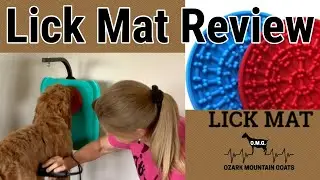 Keeping Puppy Calm During Grooming / Lick Mat Review
