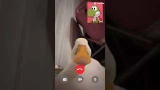 J'APPELLE UN CANARD 🦆