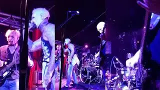 Gamli - Live &aacute; Gauknum