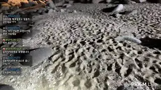 불금 밤볼락 닥터~리!!