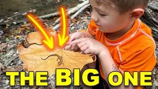 We Finally Caught A Legendary Salamander | Theo's Epic Salamander Hunt