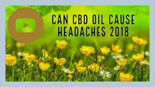 Can CBD Oil Cause Headaches?(2019) | Hemp Oil For Headaches