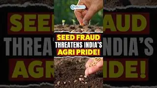 🌾 Fake Seeds Alert! | How India&rsquo;s Basmati Rice Brand is Under Threat 🚨