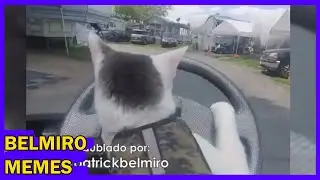 Belmiro Memes: Melhores dublagens engraçadas da semana 59