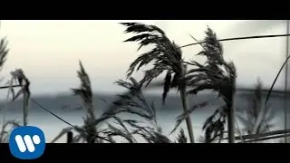 Flavio Rodriguez - Ego (con creditos) (Videoclip oficial)