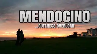 The MOST BEAUTIFUL Highway in USA | Mendocino Coast in California