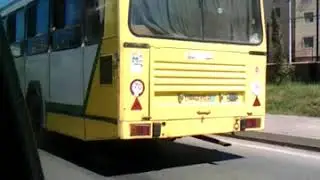 Eine Autofahrt zum Meer (Algier und Umgebung / Algerien)