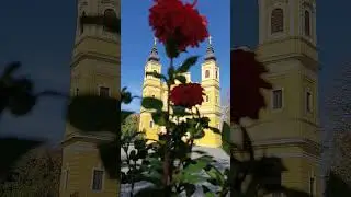 Whispers of Autumn 🍂 | Cinematic Love Letter to Nature&rsquo;s Golden Season 🌅❤️ 2 noiembrie 2025