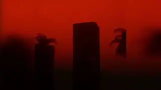 Midnight Waves - Dye O | Minimal & Lofi House | Deep House