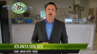 Local Star Videos | Business Reputation Marketing | Video Production -  Demo 2
