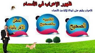 ظهور# الإعراب في#تعليم  الأسماء للصف الأول الإعدادي #أزهر