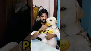 Pogo Behen Ka Pizza Kha Liya😡😀 #shorts #vlog #minivlog #shortvideo #trending