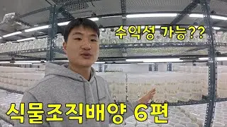 식물조직배양 6편 (인건비, 시설투자, 라이센스 등..)