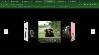 3D-Carousel-ImageGallery Using Html5, CSS3 & JavaScript | Beginner Level | Frontend #css #html5