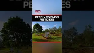 Deadly effects of now-banned farming chemicals | 60 Minutes Australia