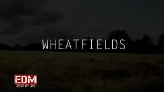 Alan Walker - Wheat Fields (New song 2017)