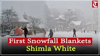 Shimla&rsquo;s Ridge Sees First Snowfall of 2026, Mall Road Turns into Winter Wonderland