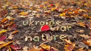 ukraine, war and nature