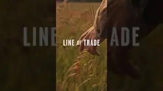The Fall/Winter 2024 Collection | Line of Trade
