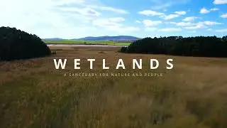 Kersal Wetlands Peel Park Salford: A Sanctuary for Nature and People