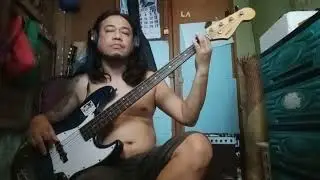 Symphony of destraction by Megadeth (bass cover)🤘🔥