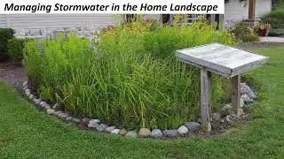 Managing Stormwater in the Home Landscape