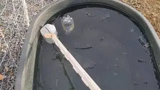 Do Milk Jugs with Salt Water Keep Your Trough Water from Freezing? Simple DIY Hack for Cold Weather